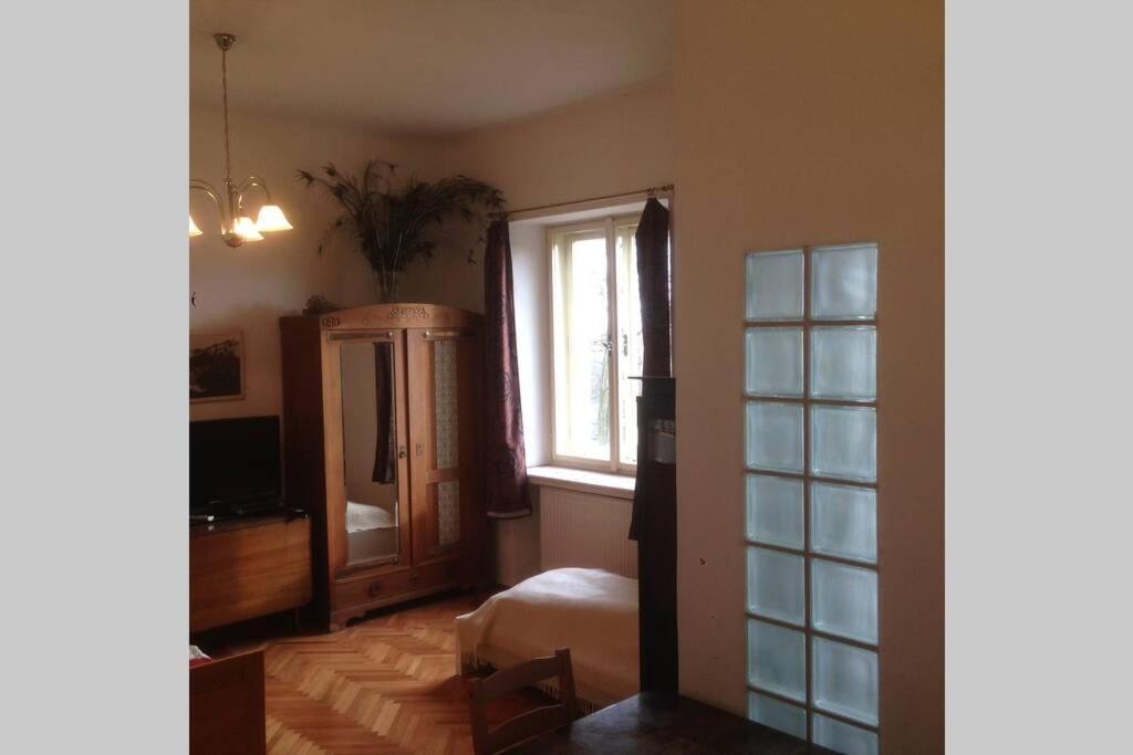 Pod Parkany With View Apartment Tabor